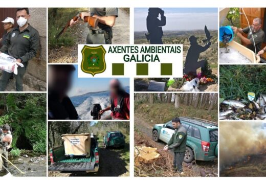 A asociación de axentes forestais e medioambientais de Galicia manifesta o seu desacordo co actual anteproxecto de Lei Básica dos Axentes Forestais